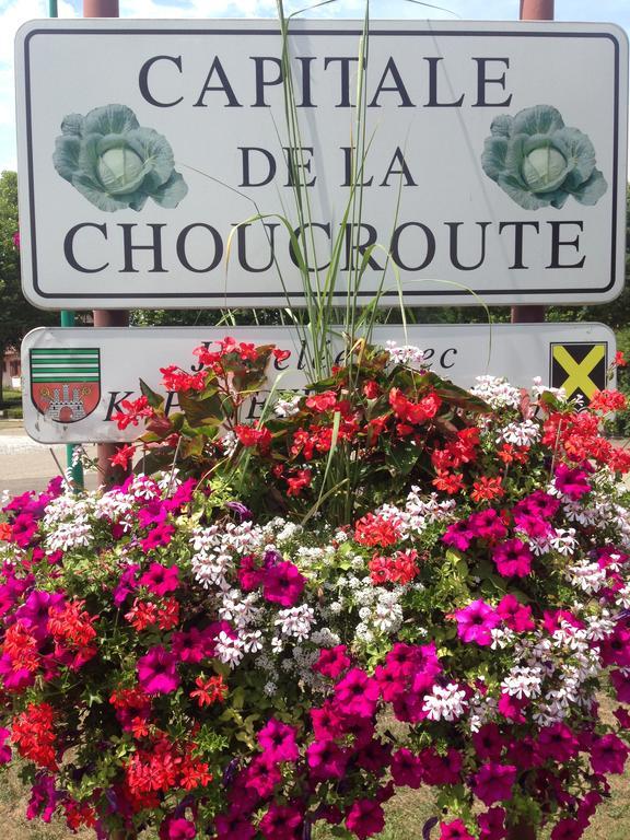 فندق Eden Des Choux Krautergersheim المظهر الخارجي الصورة