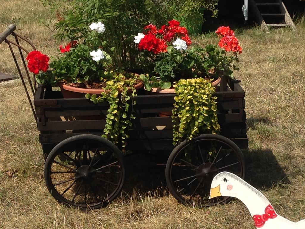 فندق Eden Des Choux Krautergersheim المظهر الخارجي الصورة