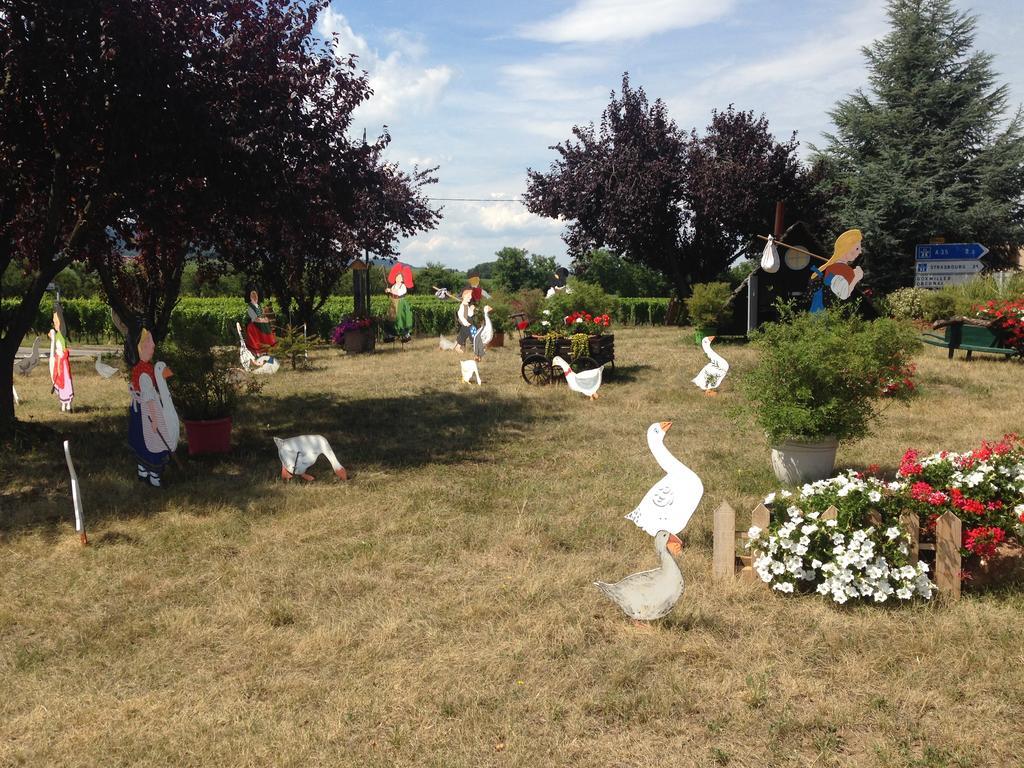 فندق Eden Des Choux Krautergersheim المظهر الخارجي الصورة