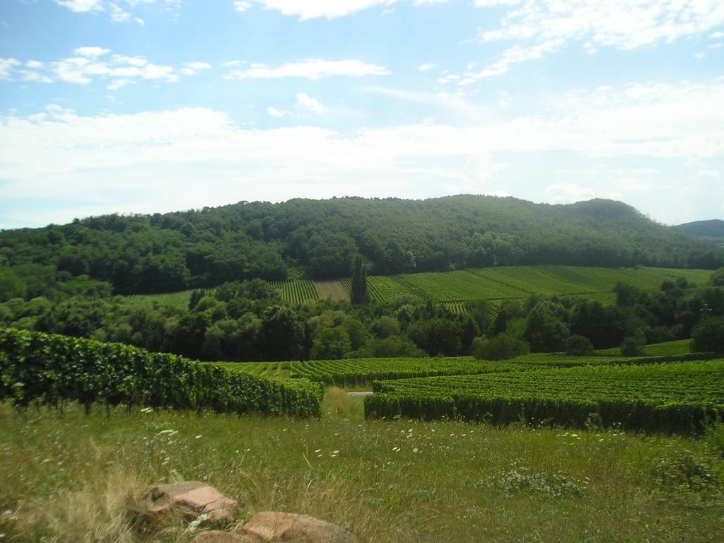 فندق Eden Des Choux Krautergersheim المظهر الخارجي الصورة
